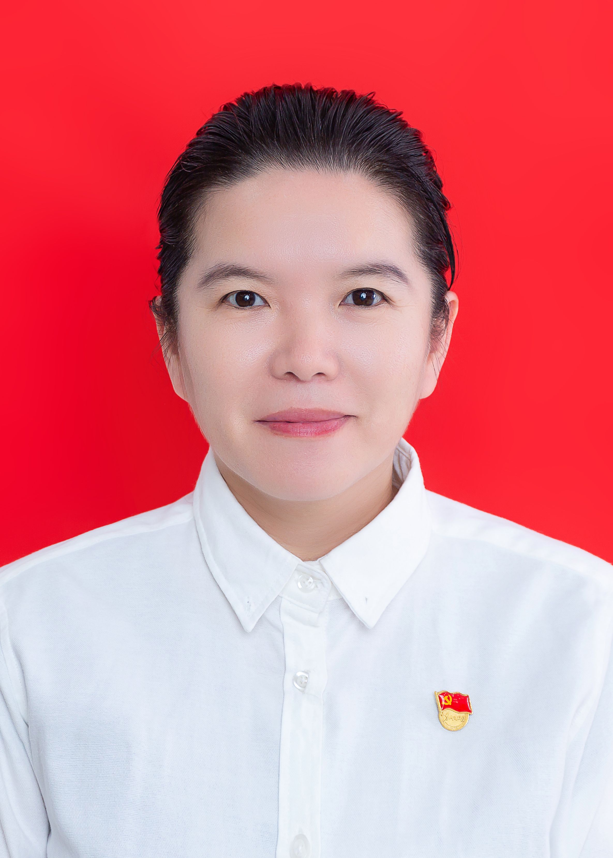 党委委员(图1)