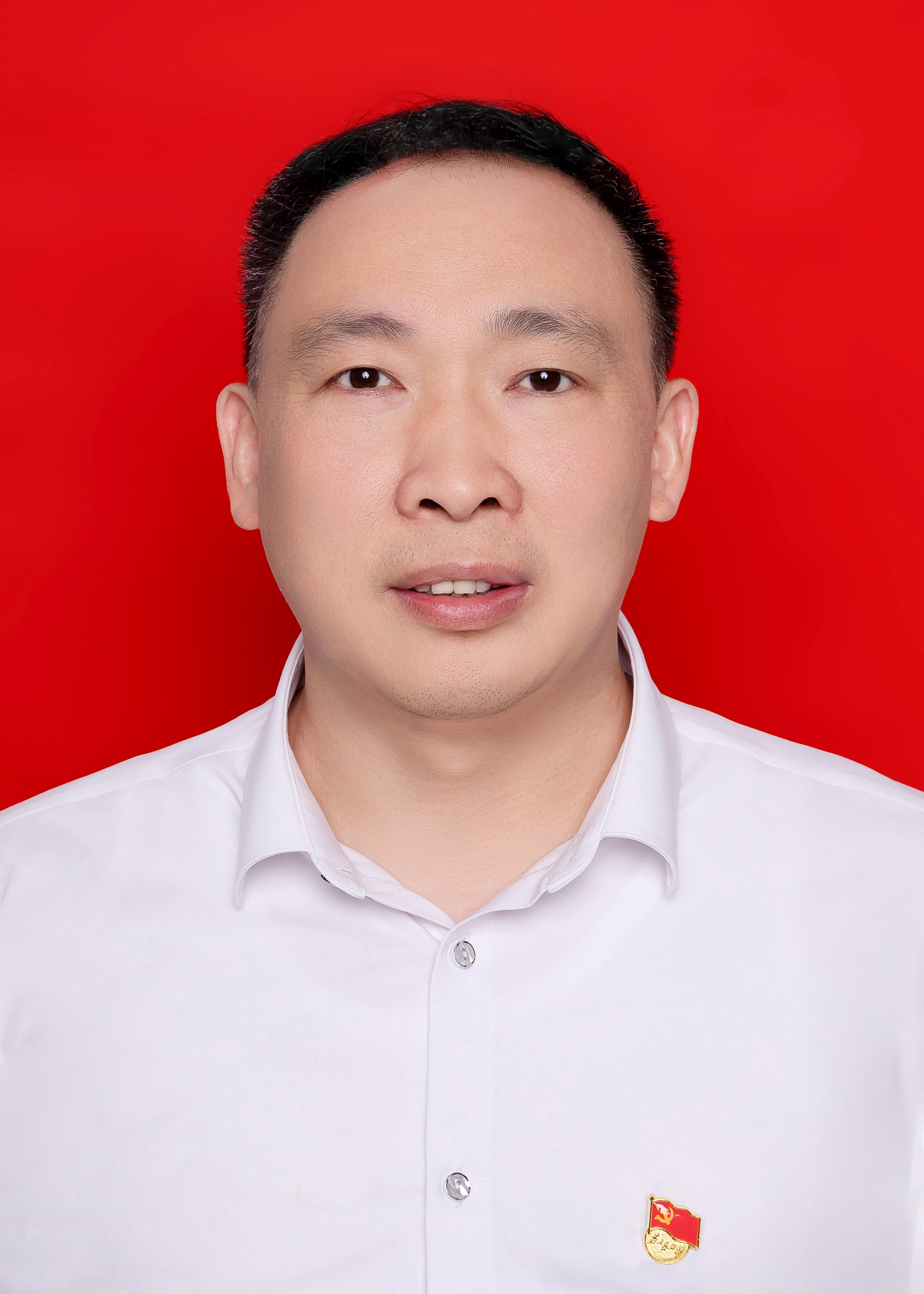 党委副书记、纪检监察员(图1)