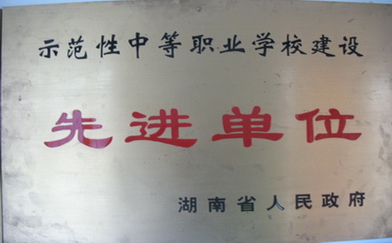湖南省示范性中等职业学校建设先进单位(图1)