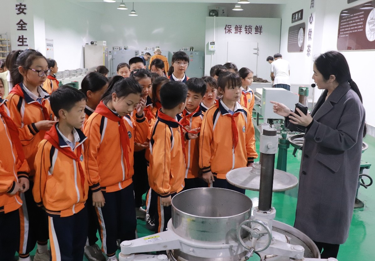 茶香润童心，文化共传承——安化县职业中专学校（安化黑茶学校）•黄沙坪完小茶文化交流活动(图5)