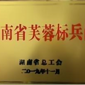 湖南省芙蓉标兵岗