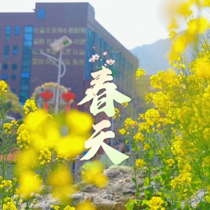 校园春日
